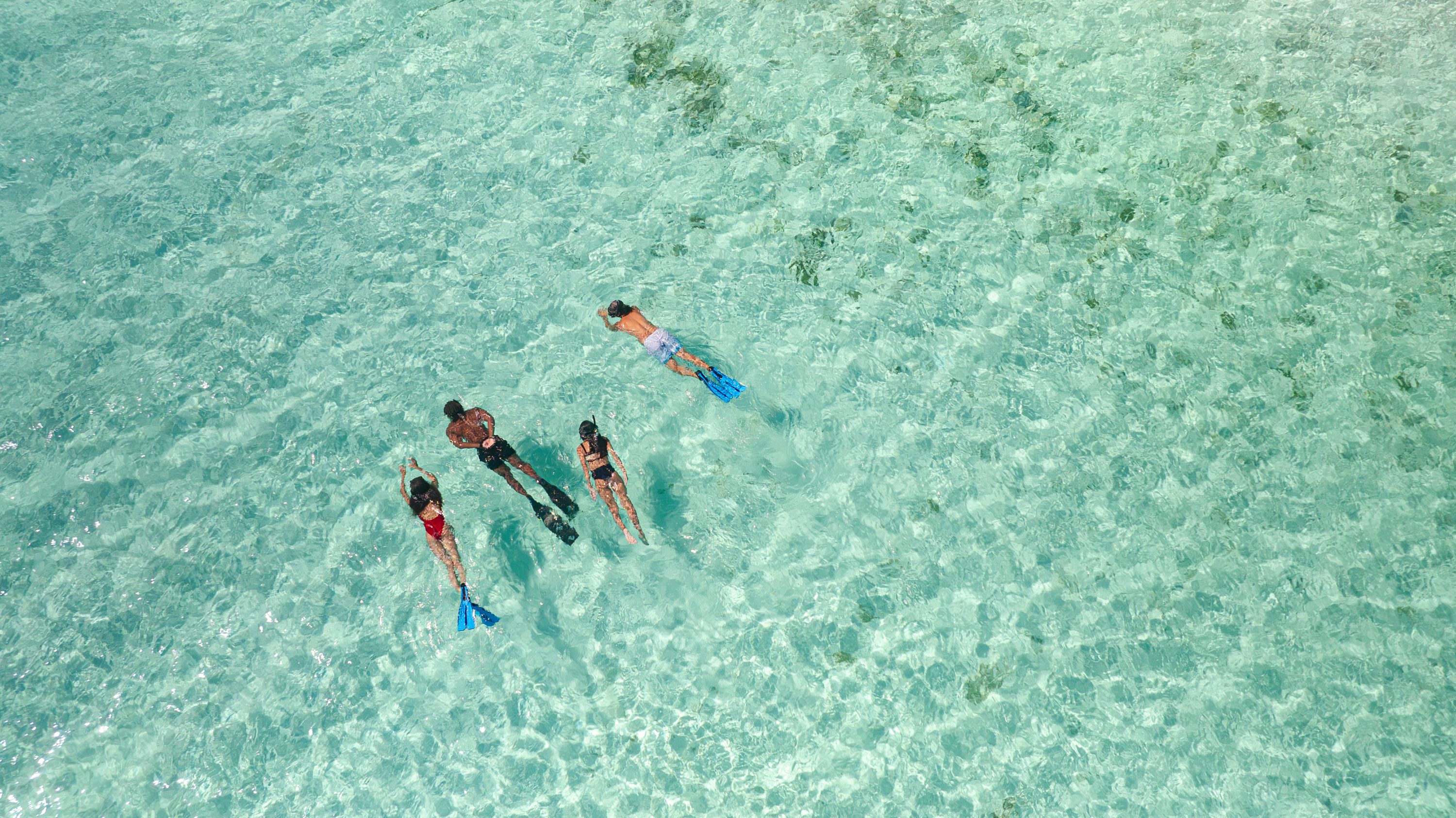Ocean Guardian Bahamian snorkeling experience 