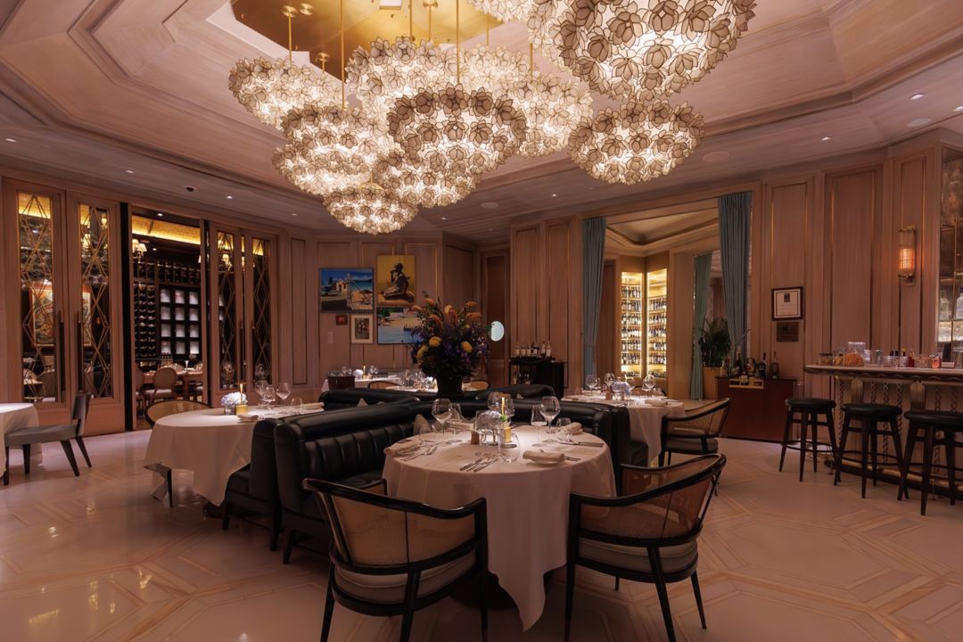 Culinary Arts Festival dining venue