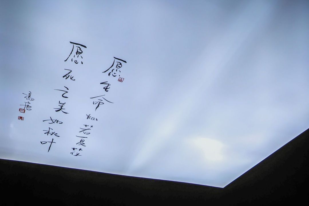 798现代艺术之旅