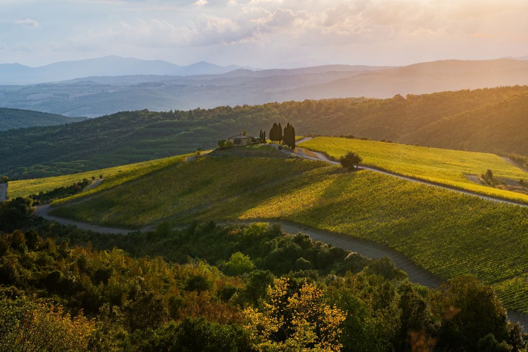 La Notte del Vino