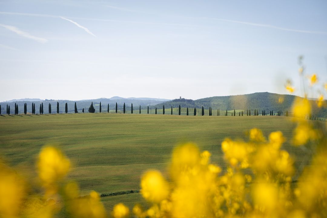 Primavera in Toscana