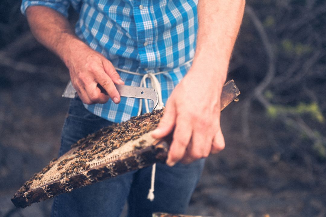 A person in a blue checkered shirt using a  knife outside.