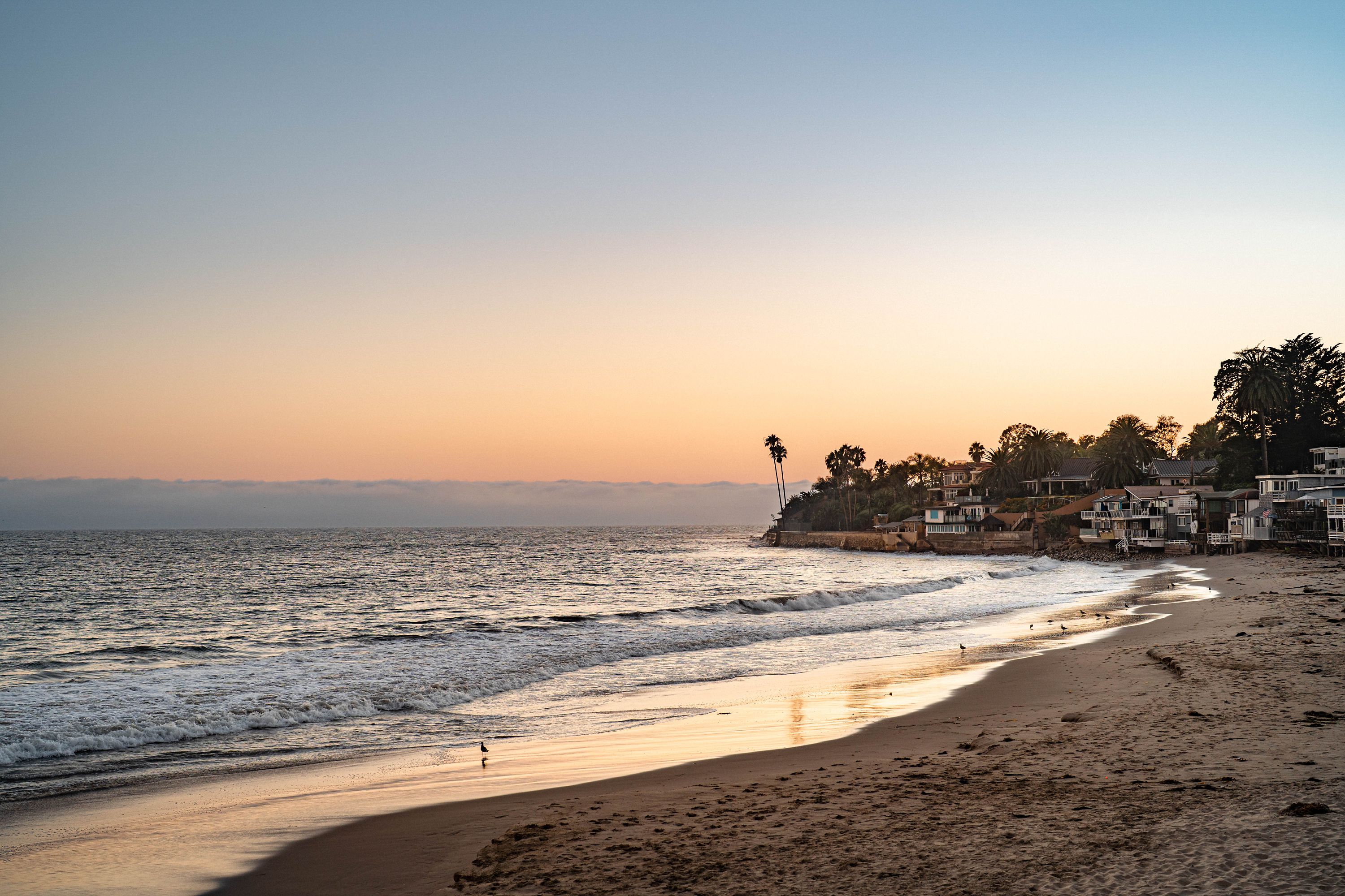 Beach Horseback Riding | Rosewood Miramar Beach Experiences