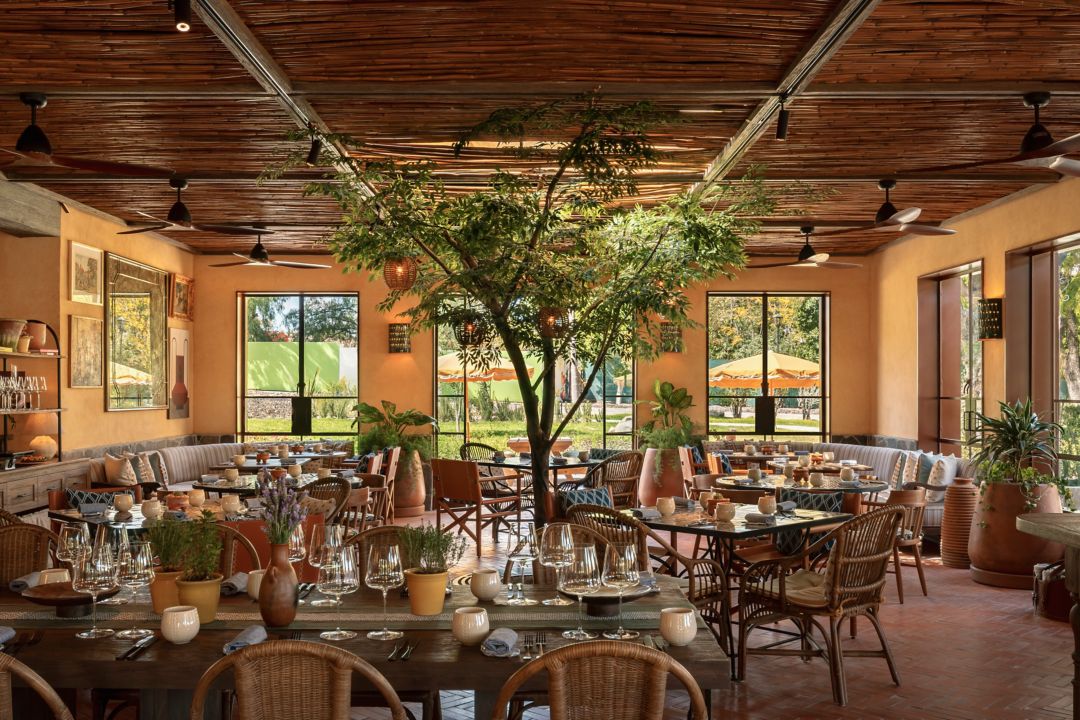 Pirules Garden Kitchen