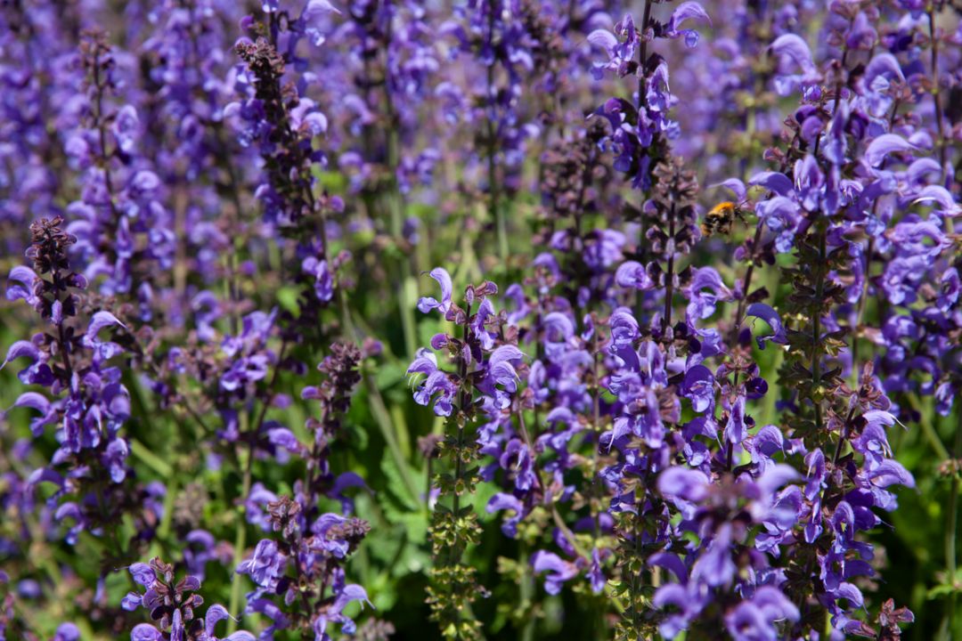 Large sculpture of an architectural structure in lobby