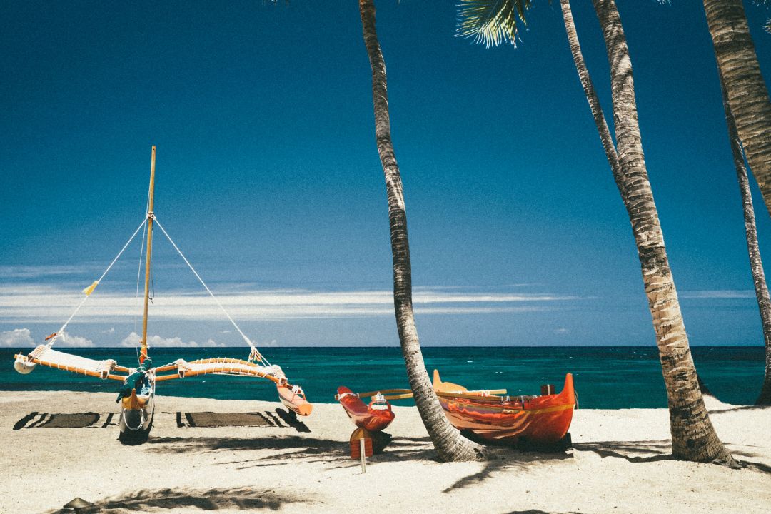 A canoe and kayaks on a white sand beach, framed by swaying palm trees and blue waters.