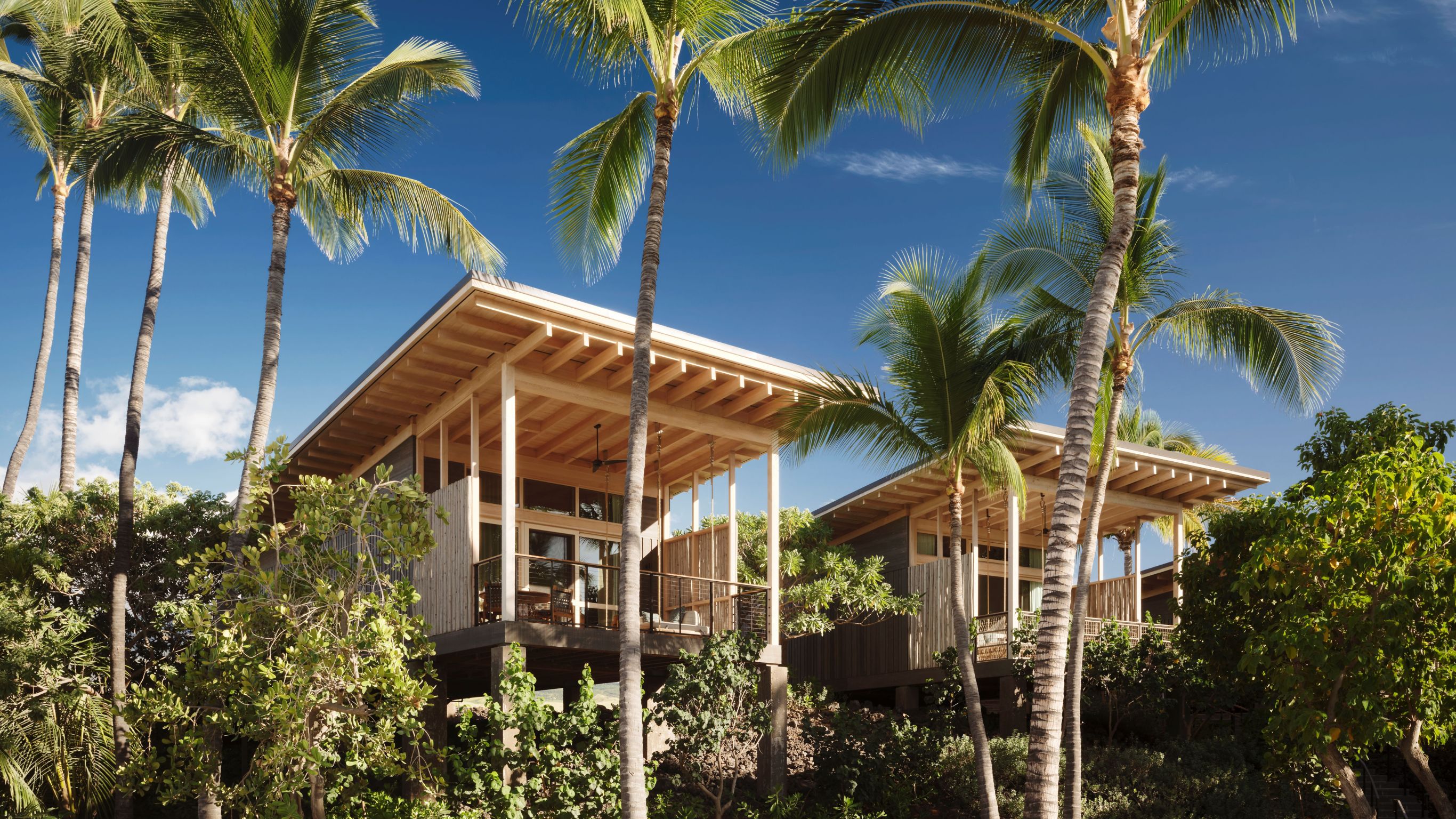 Tree Top King Hale Lanai