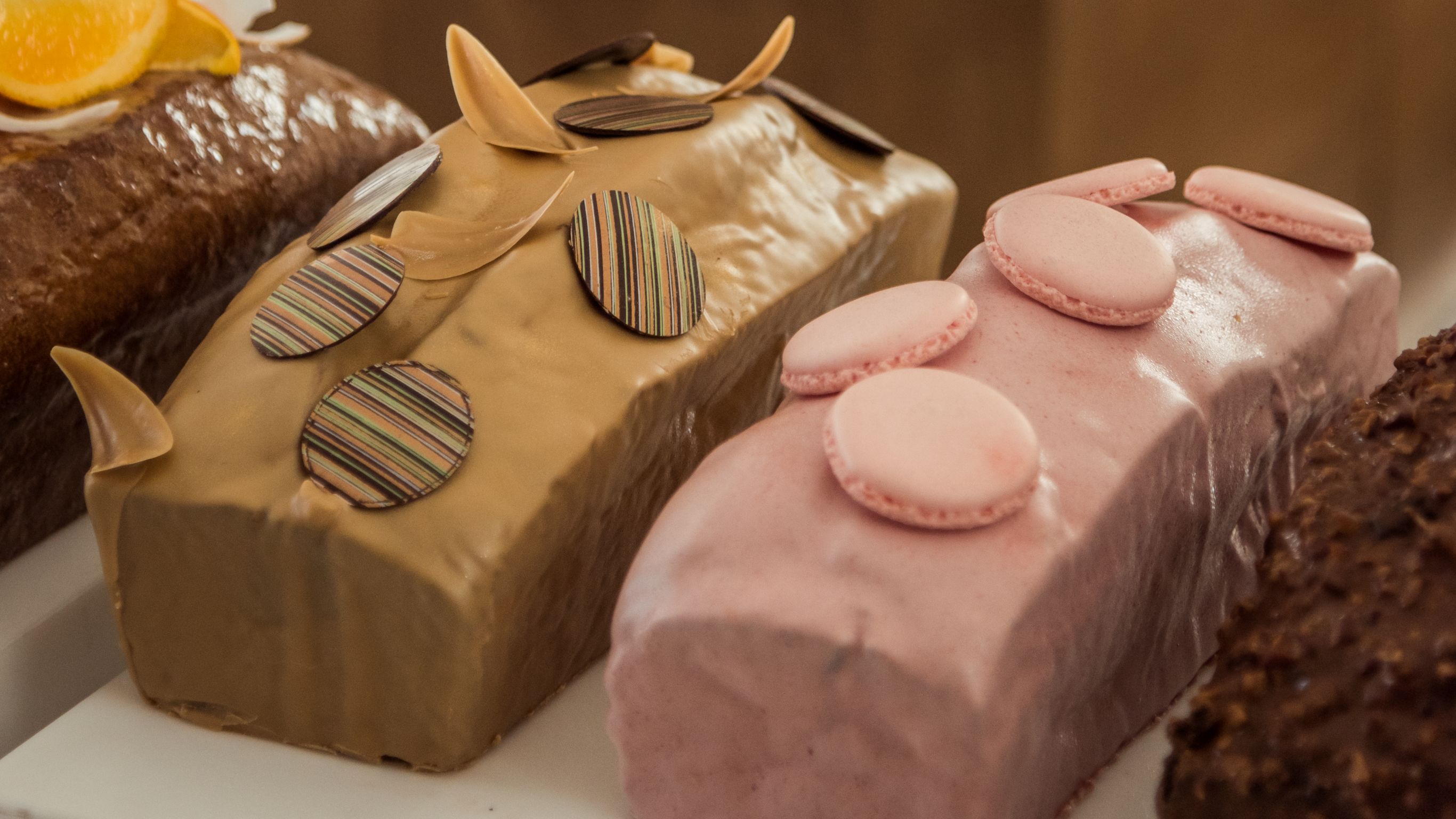long communal wood table with benches under large ceiba tree with round lanterns hanging from branches in a garden at sunset