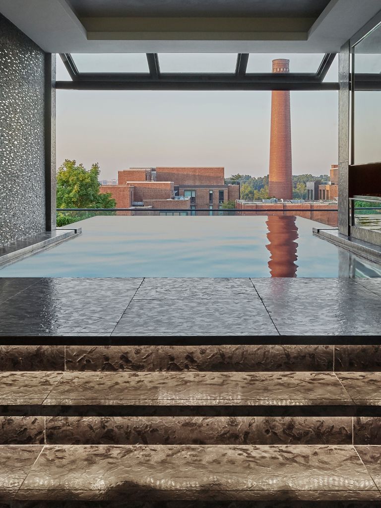 Rooftop Pools In Dc