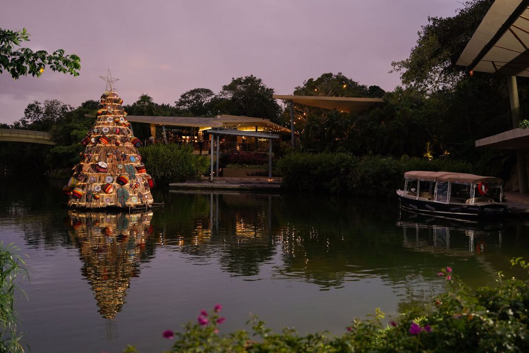 Christmas at Rosewood Mayakoba