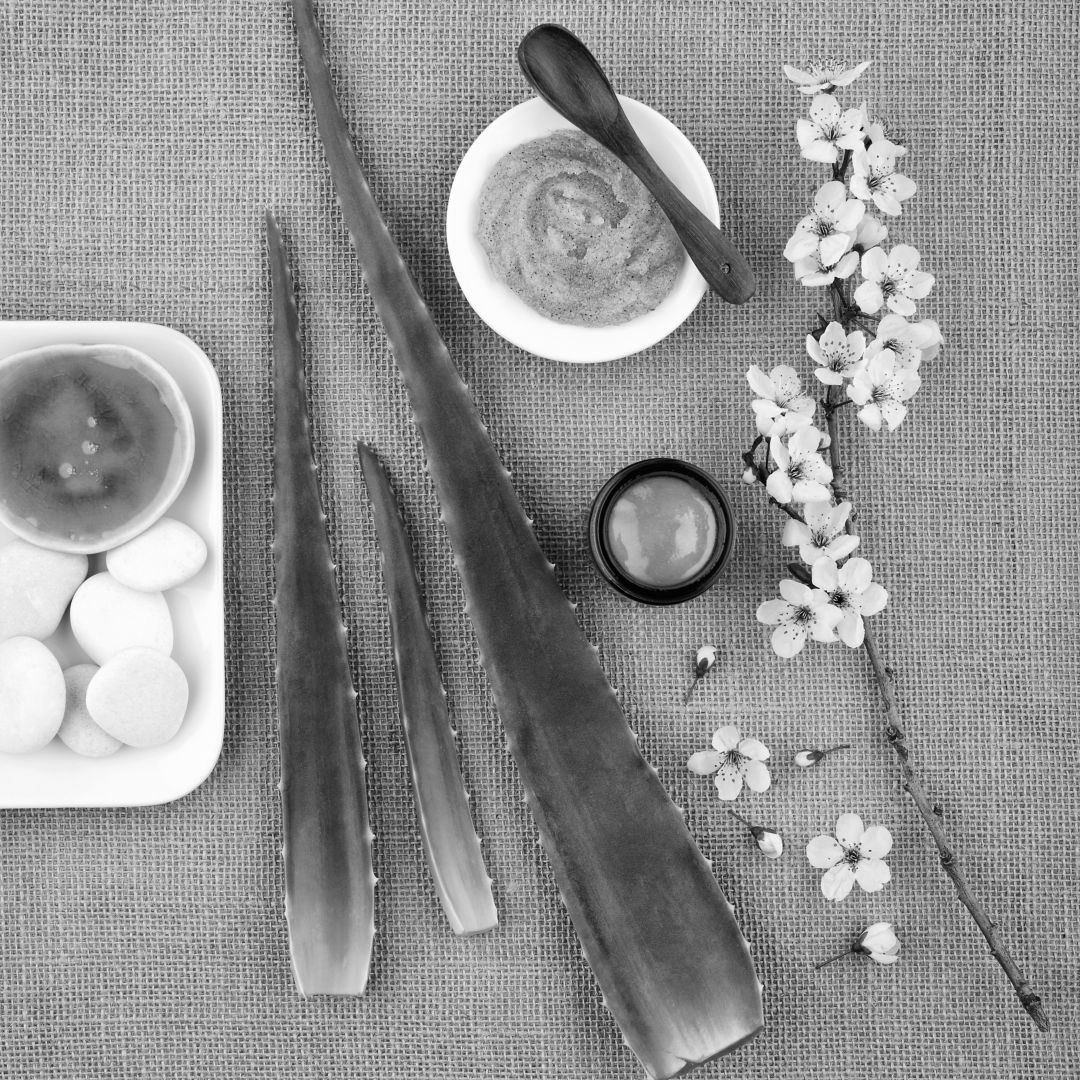 Overhead view of aloe vera, creams, stones, and flowers arranged on a textured surface.