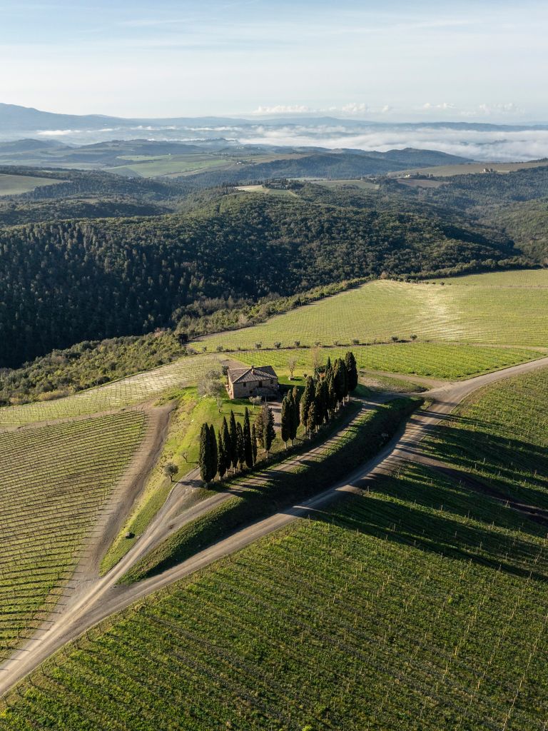 Wine Resort in Toscana: 6 esperienze tra vigne e relax