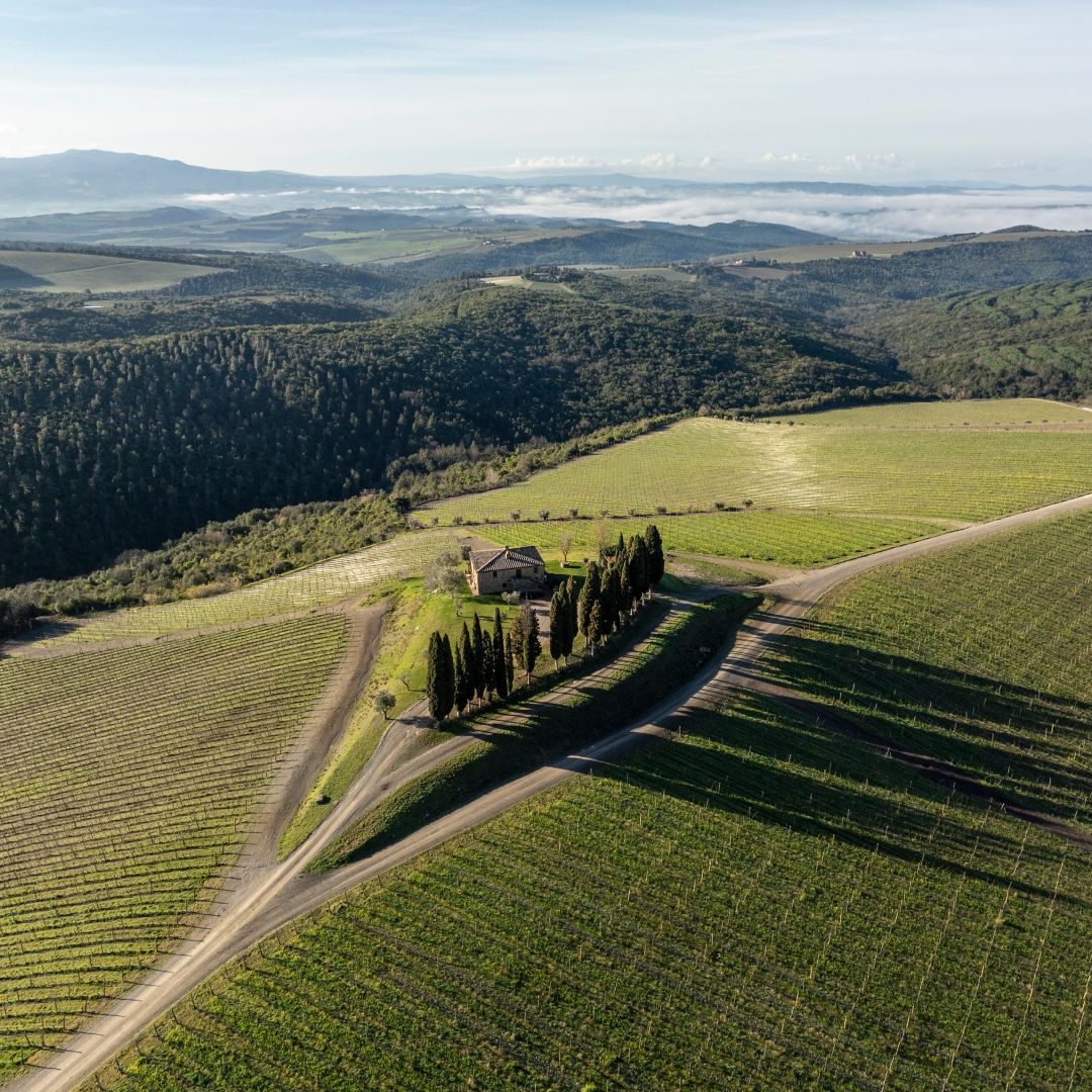 Aerial view of a winery with a villa at the center.
