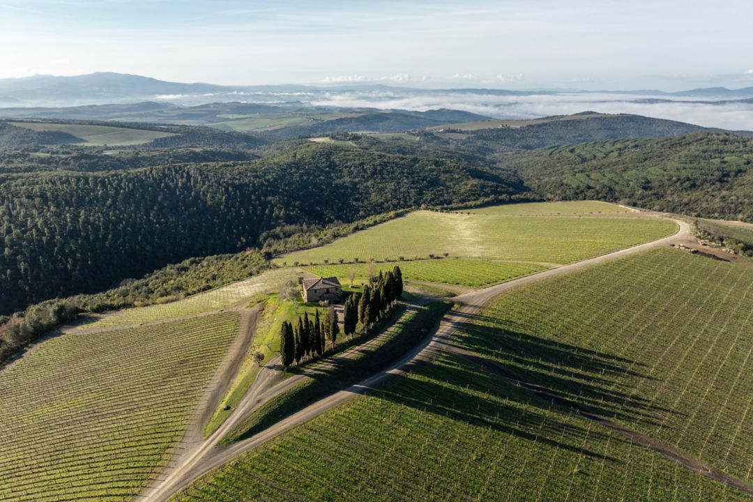 Aerial view of a winery with a villa at the center.