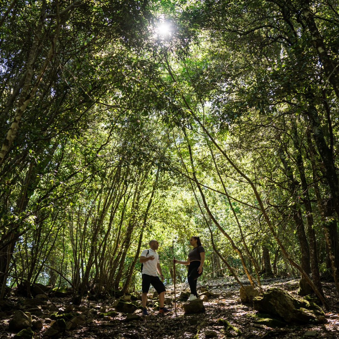 Activities in Tuscany