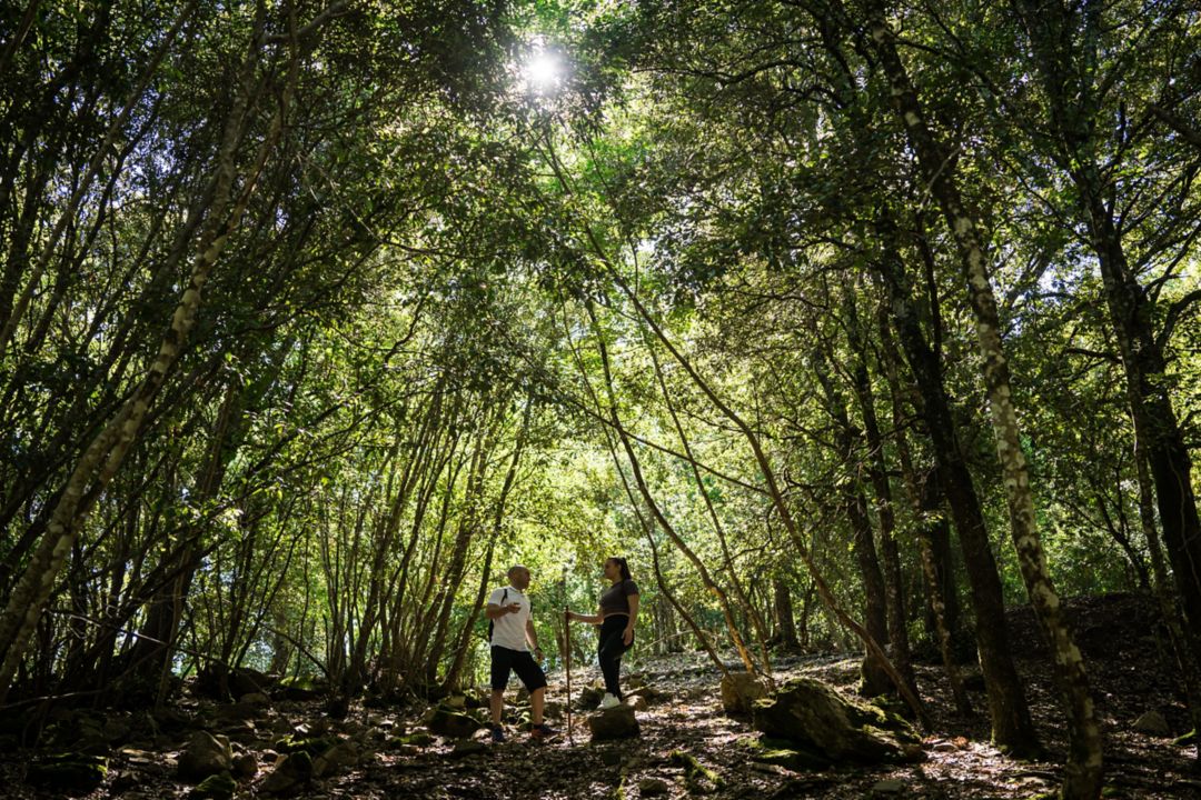 Activities in Tuscany