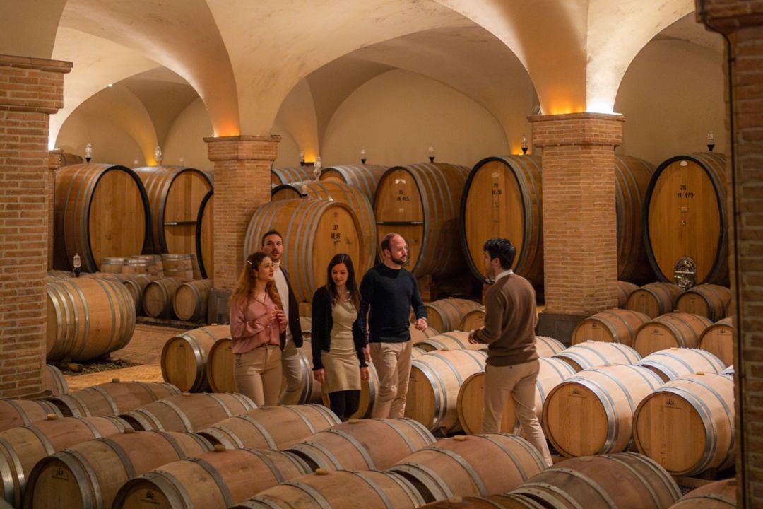Vineyard Landscape