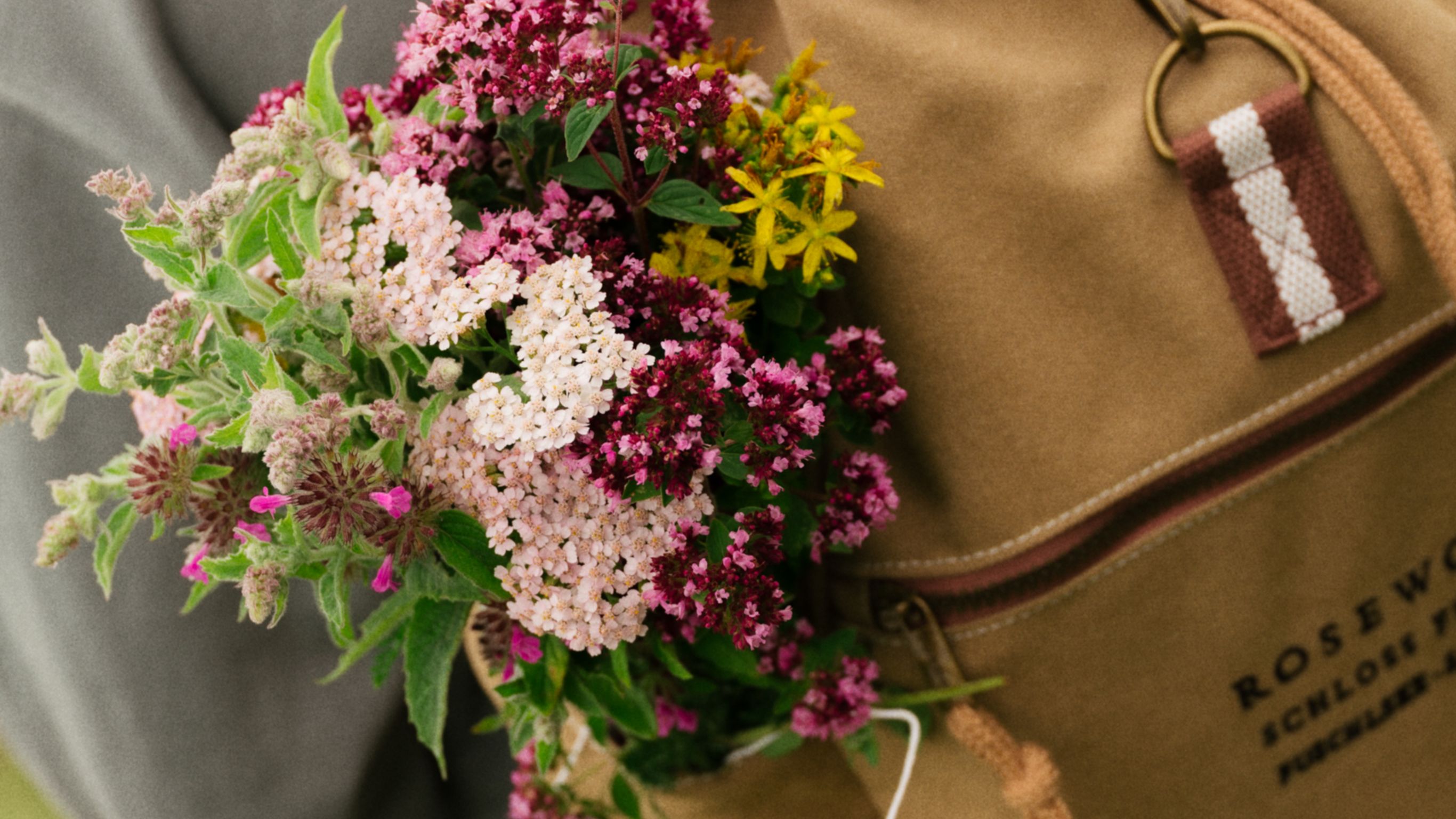 Zille boat infront of See Club