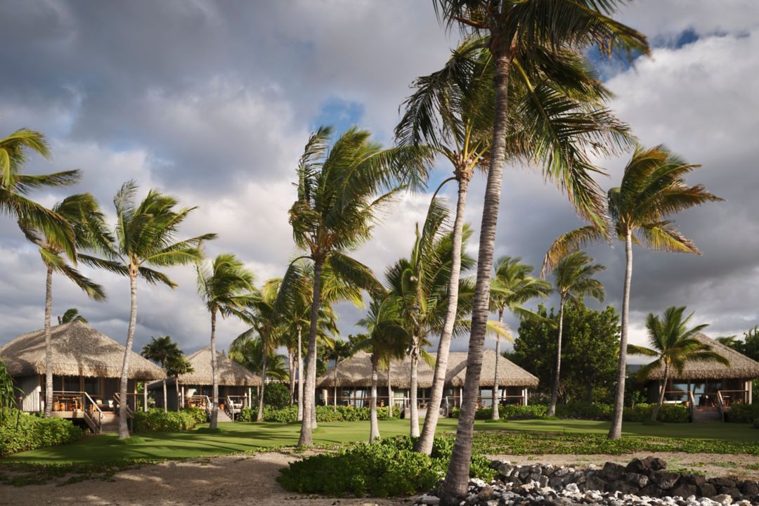 Thatched-roof beachfront villas nestled among palm trees and manicured green lawns at a Kona resort.