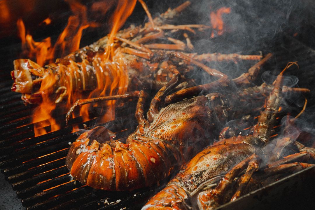 Grilled lobsters