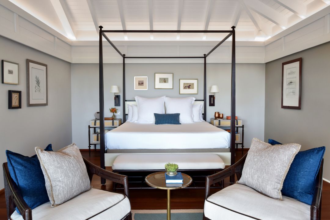 Suite Pelican
