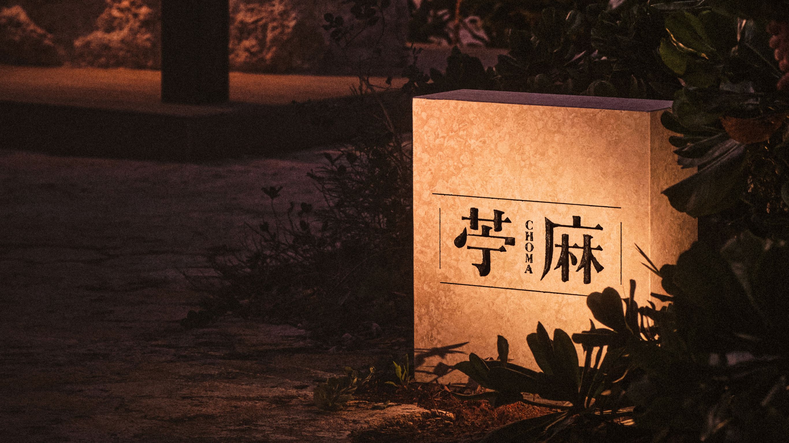 Chef creating Moana dish