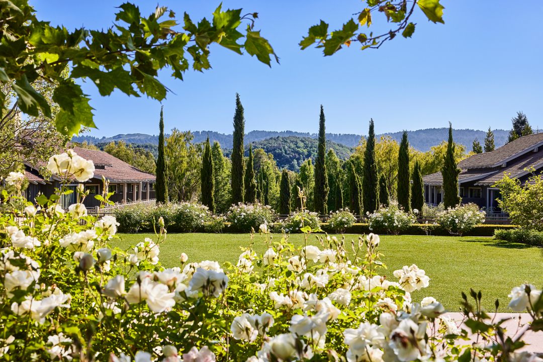 Exterior garden view
