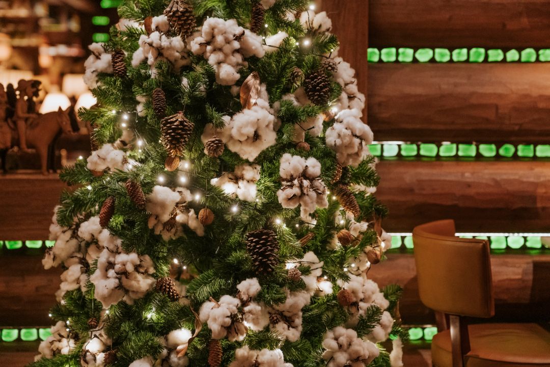 Natal com Sense of Place