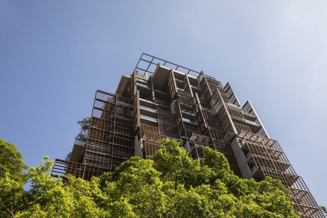 Oferta More Rosewood