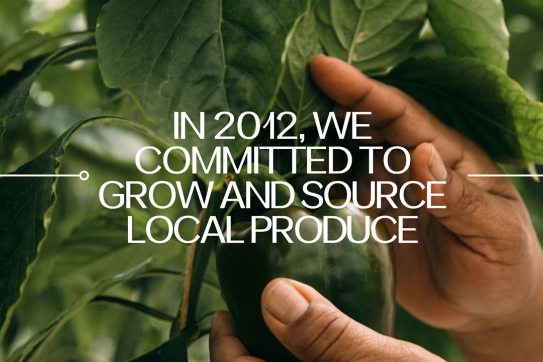 2012: 2012年，我们种植并致力选择使用本地原产食材。
