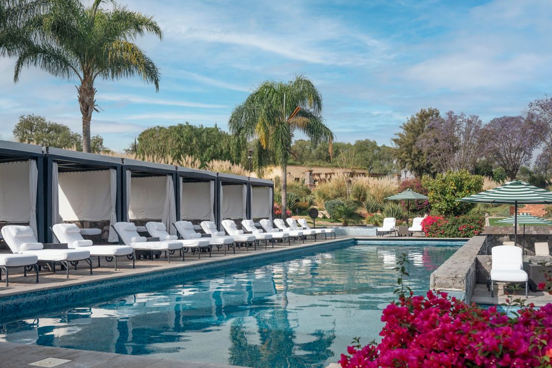 A hotel pool in San Miguel de Allende with lounge chairs, palm trees, and vibrant flowers under a blue sky.