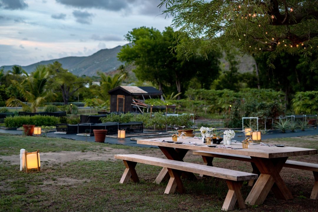 A person holding a wooden tray filled with fresh vegetables in a garden setting.