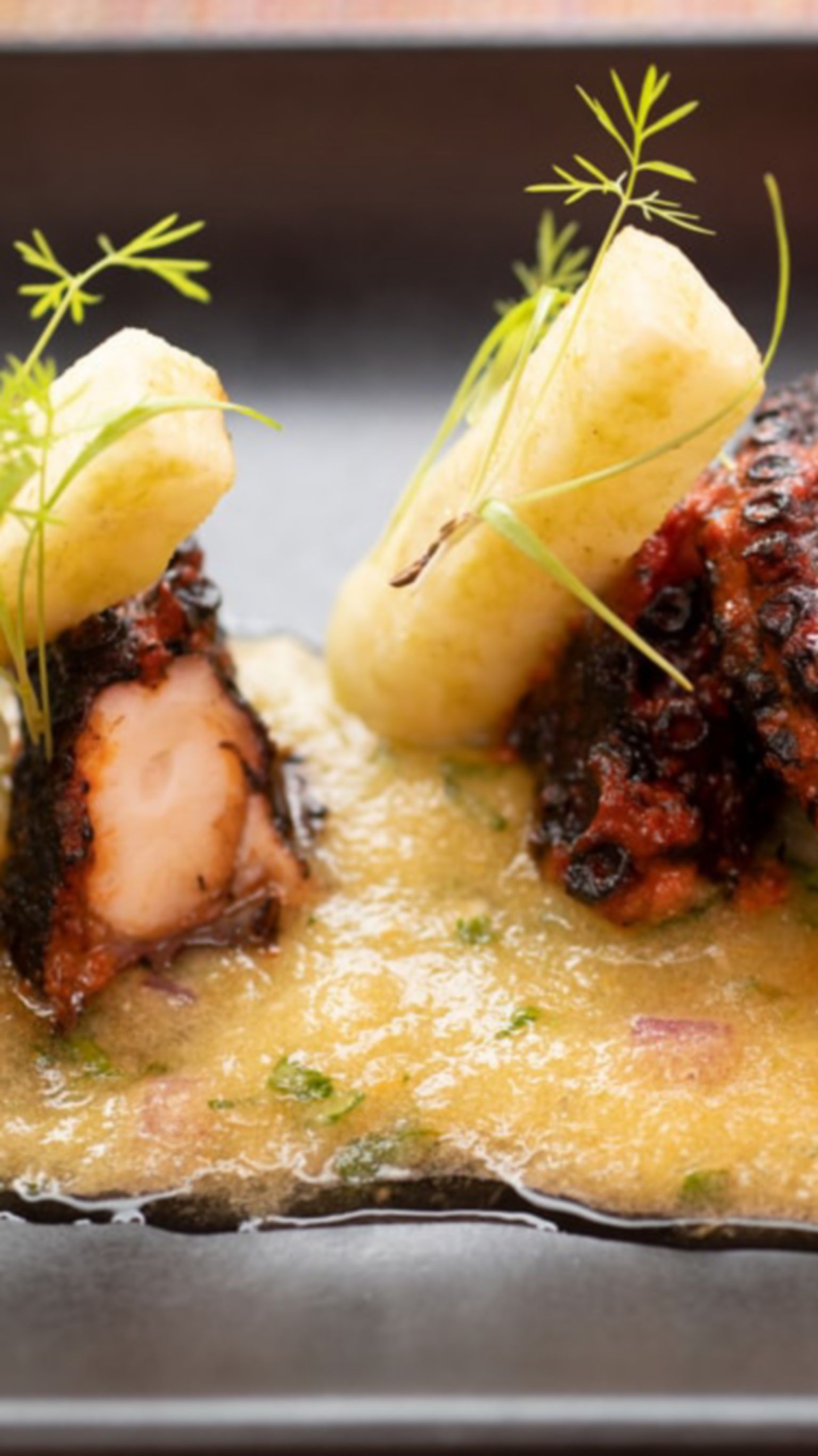 Ancho Glazed Octopus