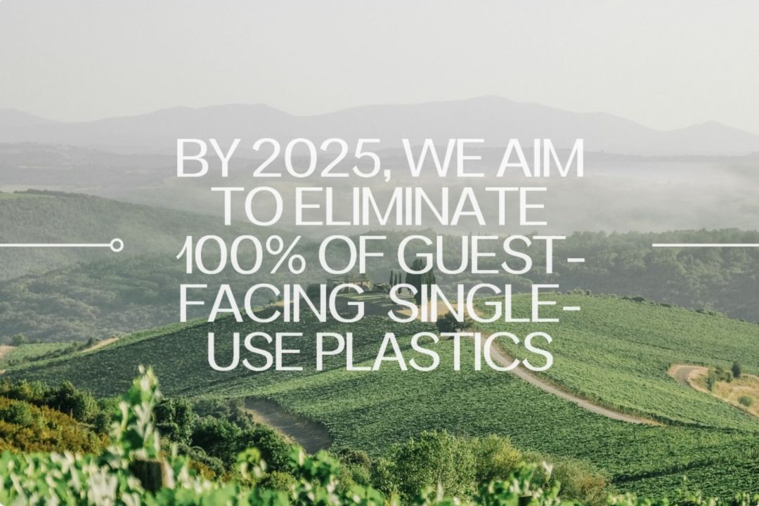 2025: 2025年，我们计划彻底淘汰所有一次性客用塑料制品。