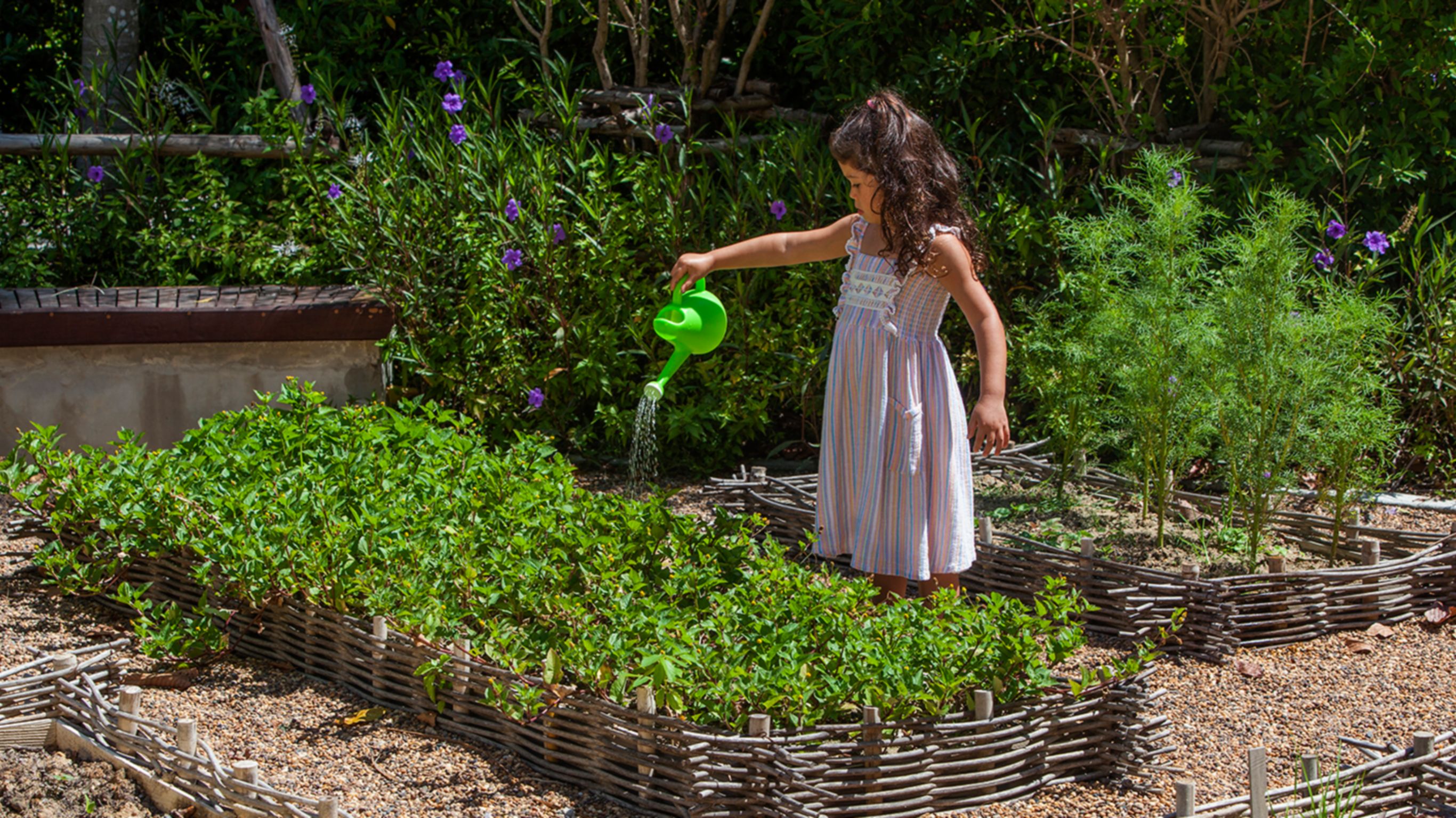 Rosewood Explorers | Rosewood Phuket