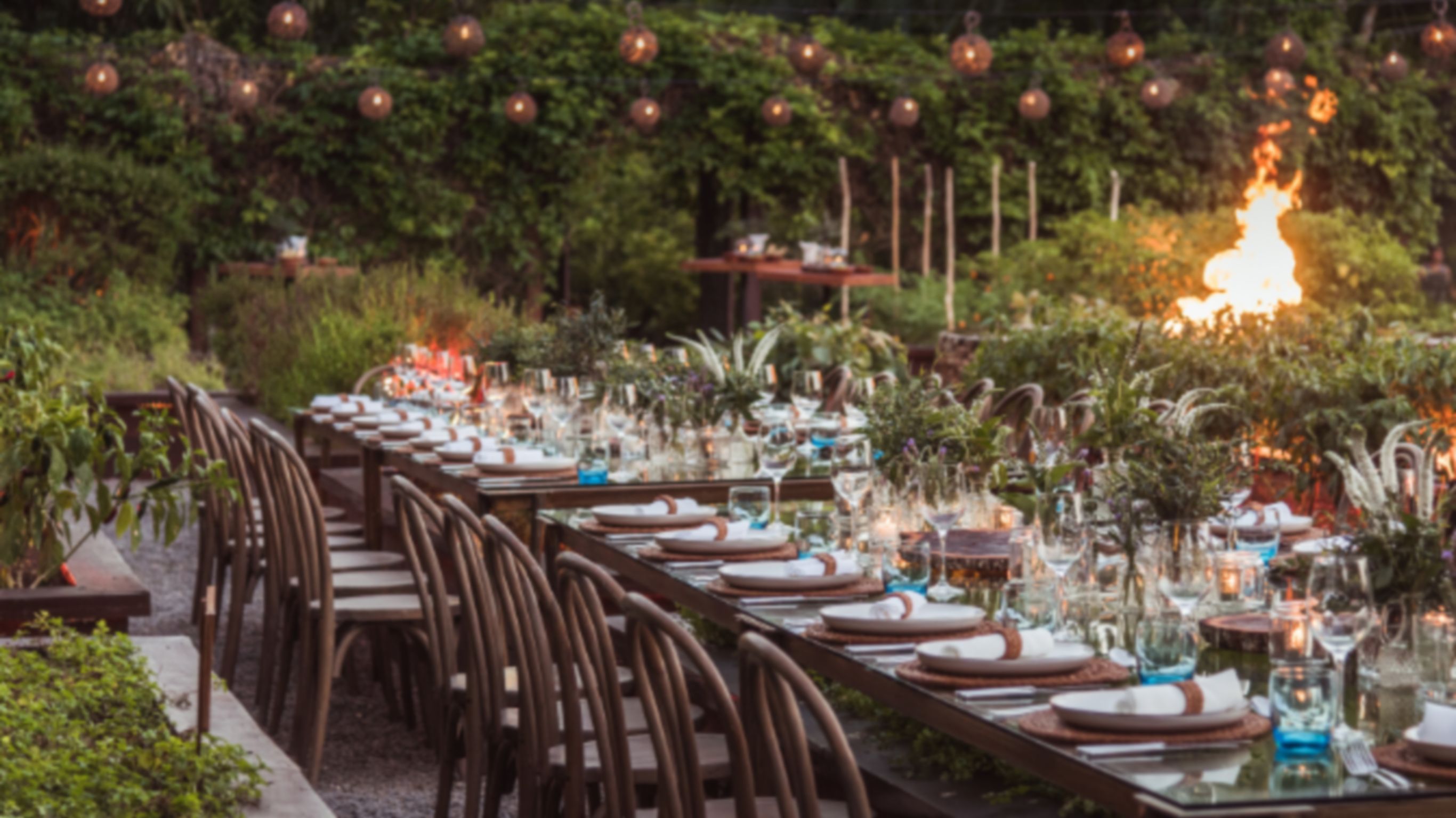 Private reception in garden at La Ceiba Garden & Kitchen