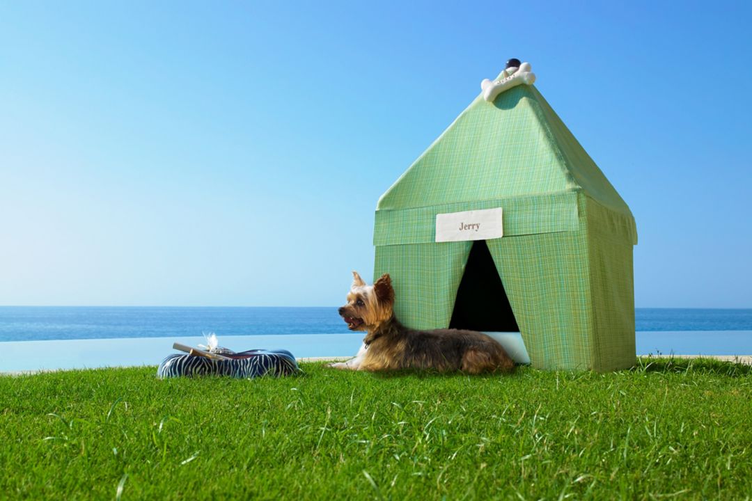 A small dog lying in front of a green doghouse labeled "Jerry," with a blue ocean and sky in the background.