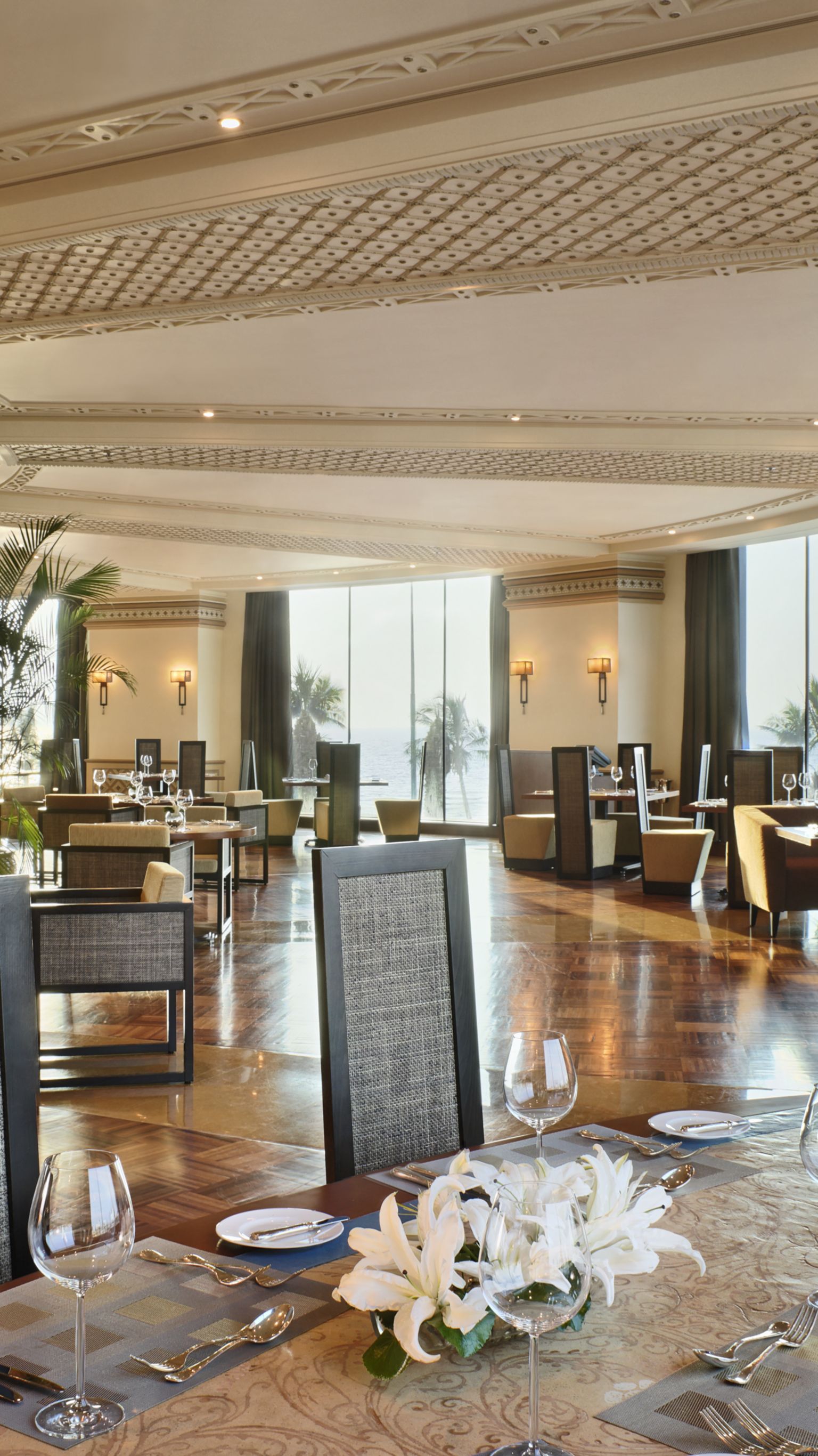 هابسبيرج | روزوود جدة