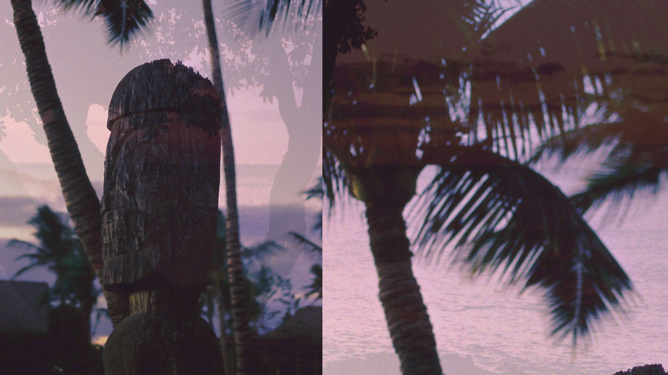 A Hawaiian sculpture on the left and a palm  tree on the right side.