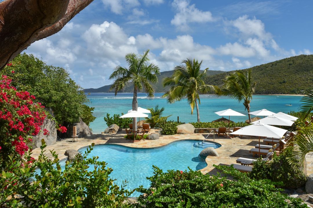 Tropical pool surrounded by greenery, colorful flowers, and palm trees overlooking the ocean.