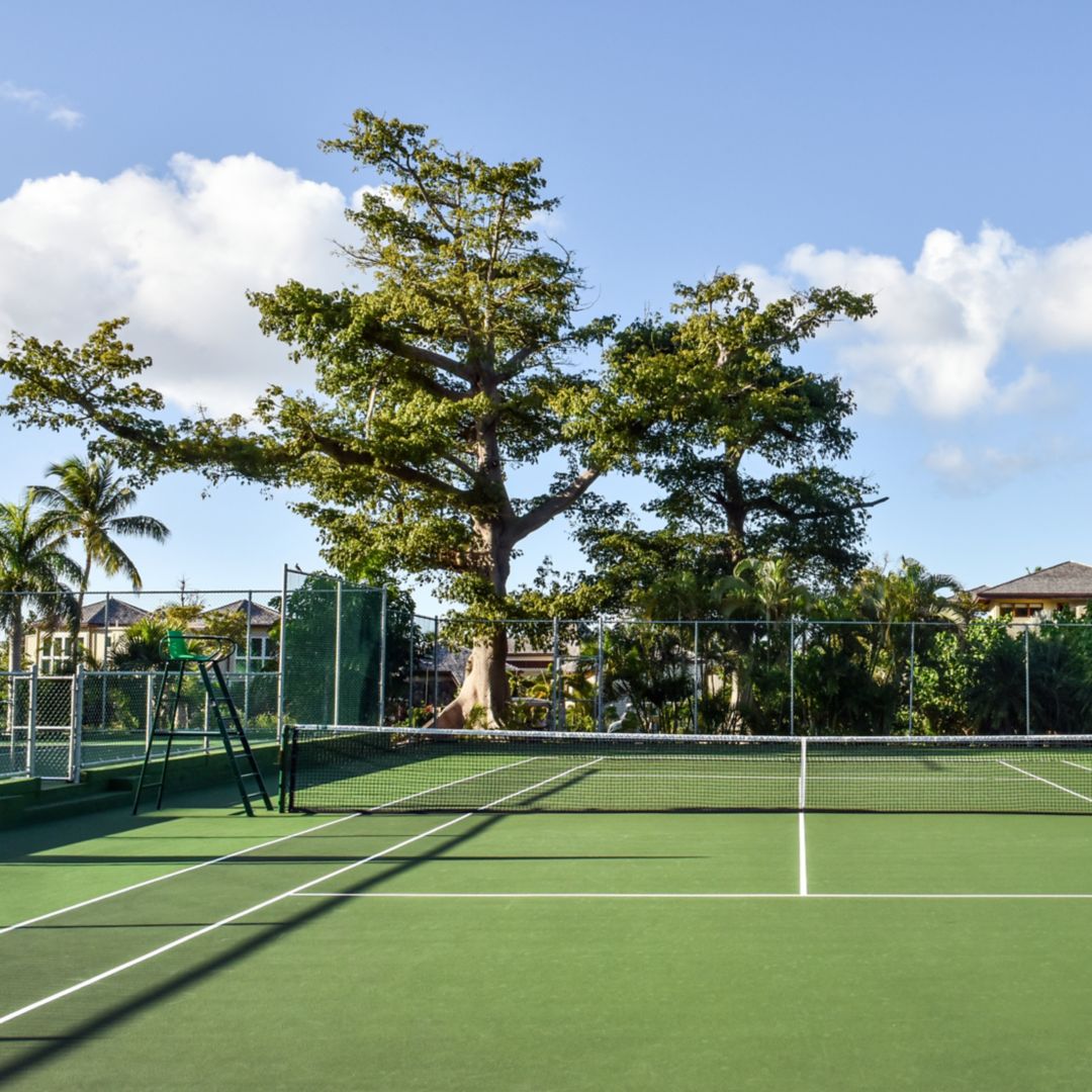 Outdoor tennis court with tall trees under a clear blue sky.