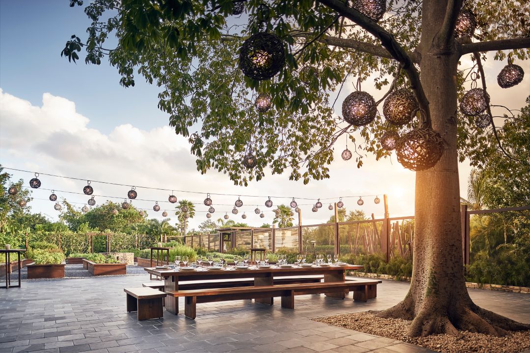 La Ceiba Restaurant Rivera Maya