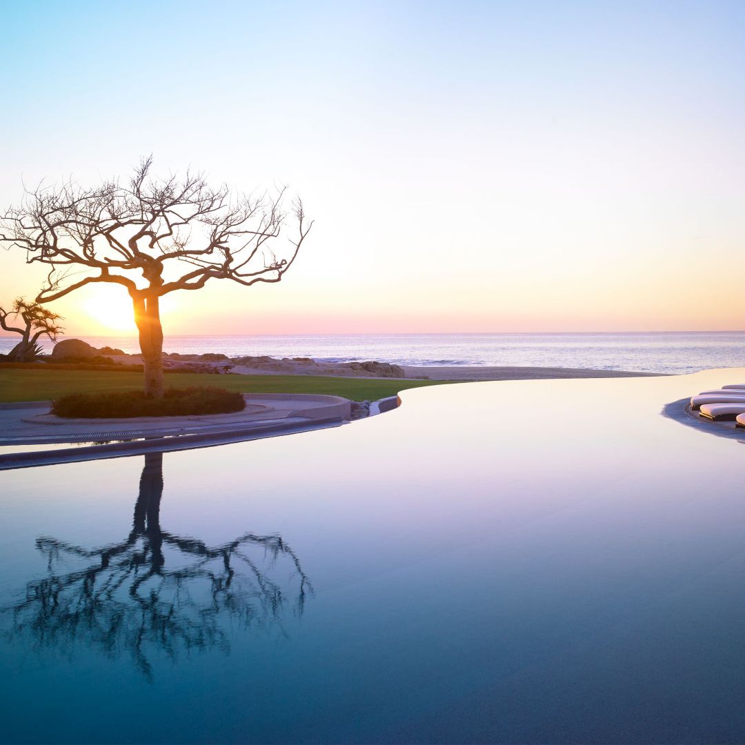 A serene infinity pool reflecting a bare tree at sunset, with the ocean in the background.