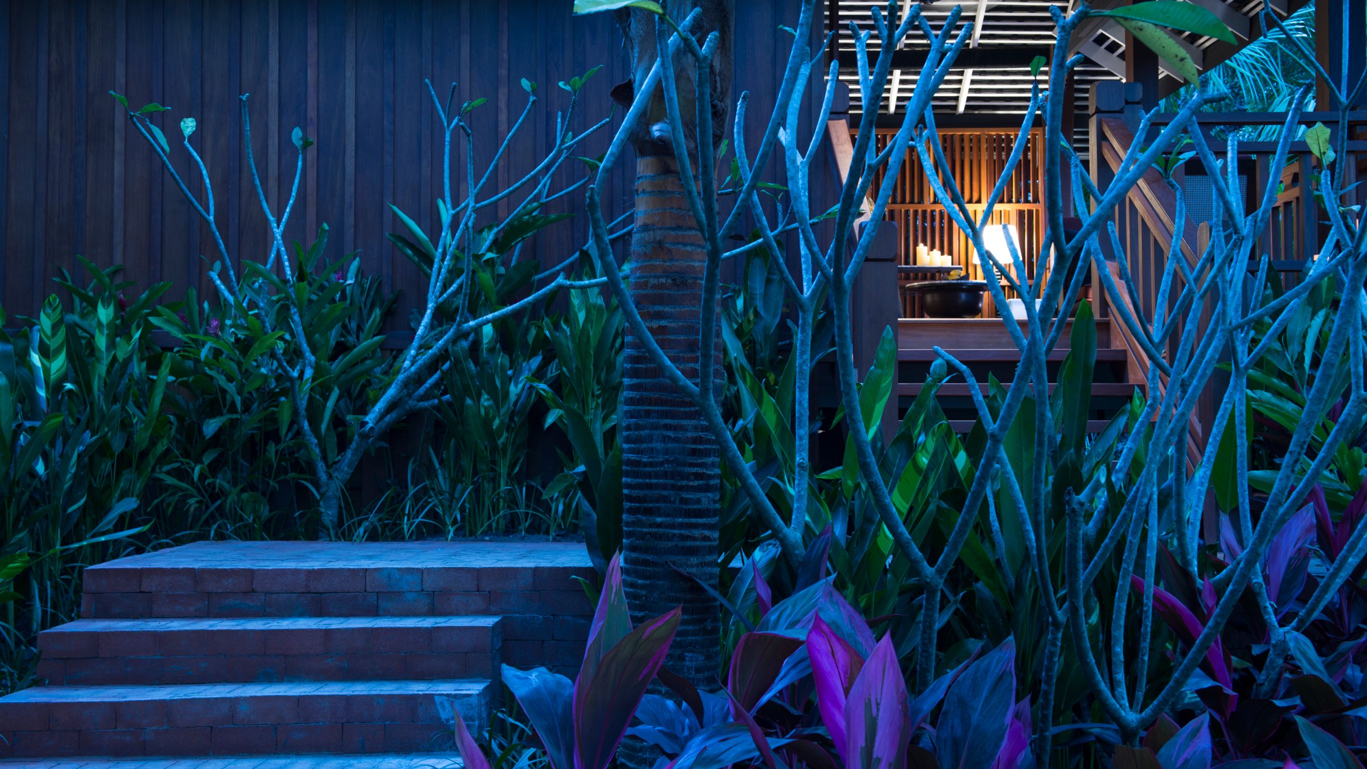 Laos trees and lush greenery surrounding a small staircase