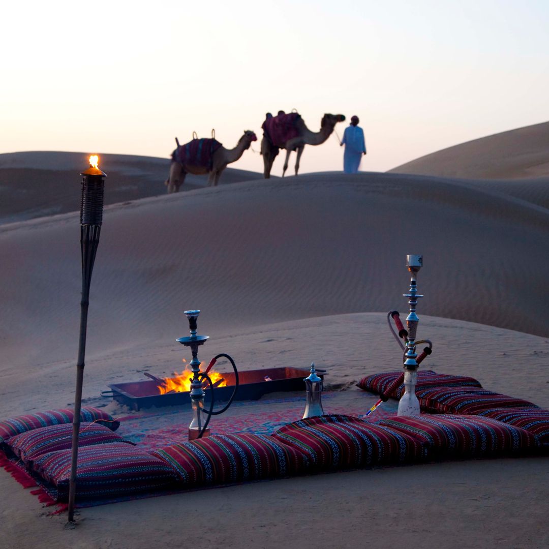 تناول الطعام في رحلات الذواقة  