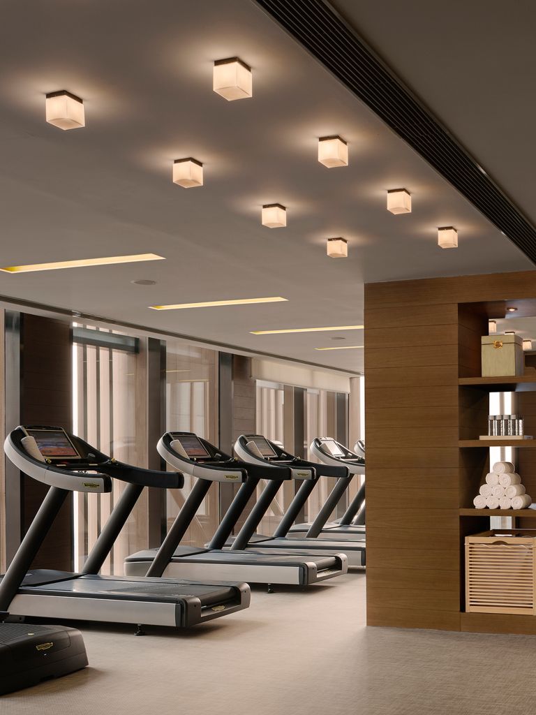 Luxury Fitness Center