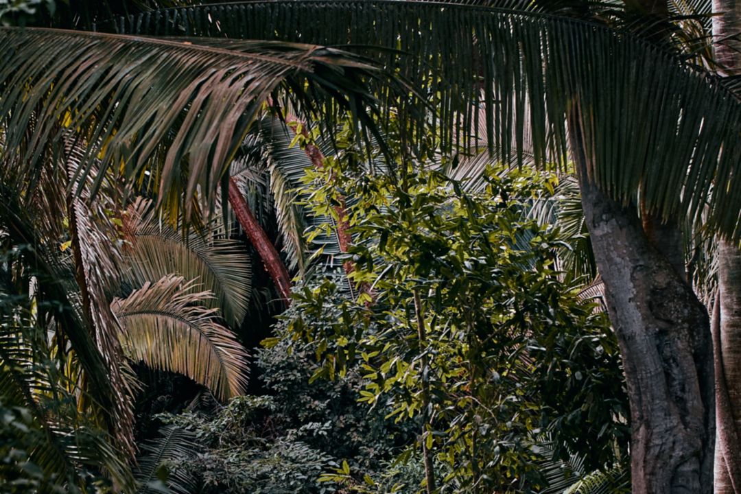 Healing Through Adventure