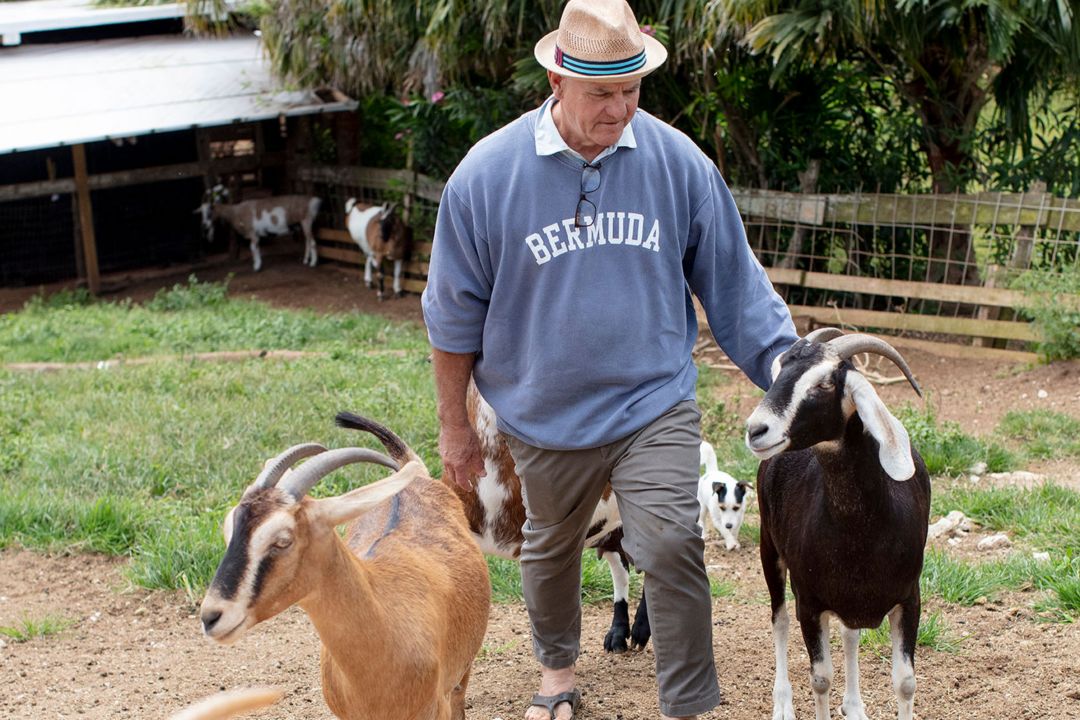 james tucker walking with his dairy goats