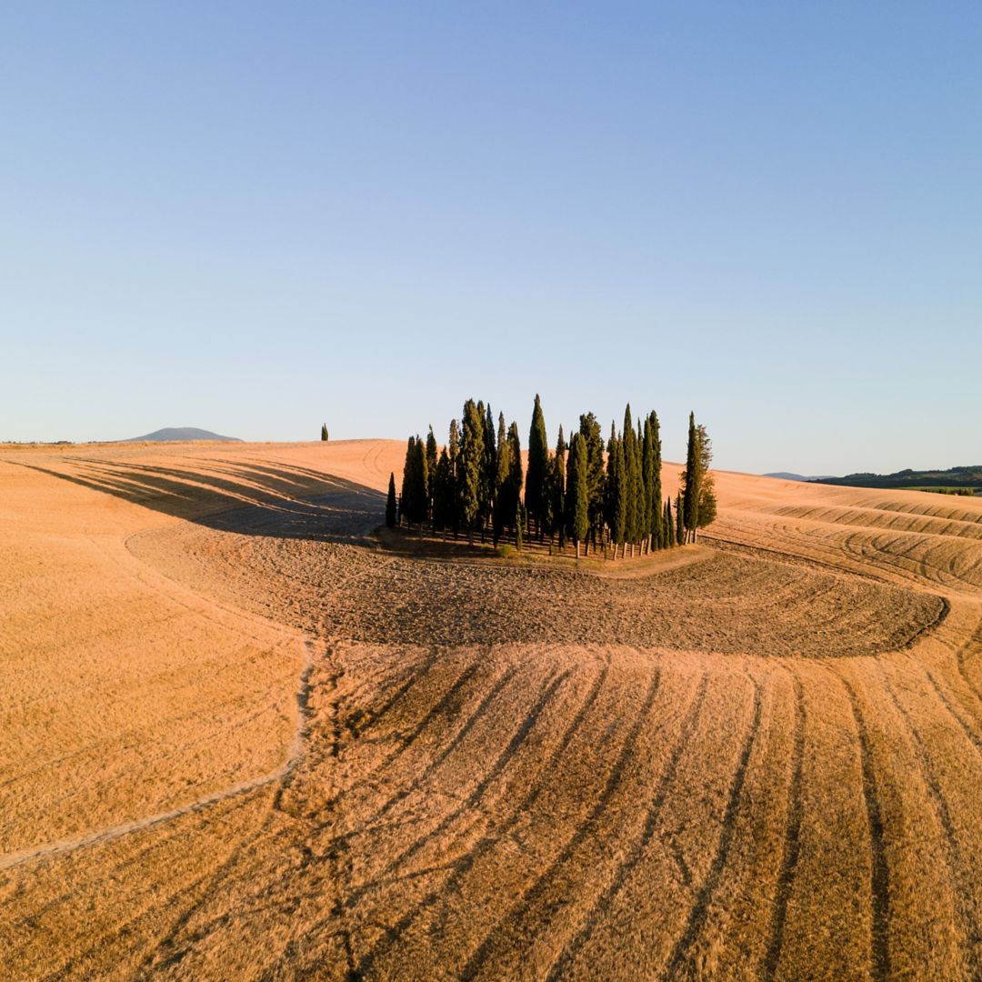 Activities in Tuscany