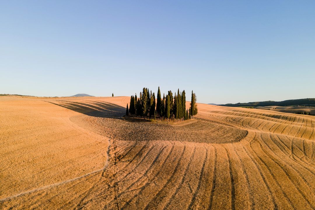 Activities in Tuscany